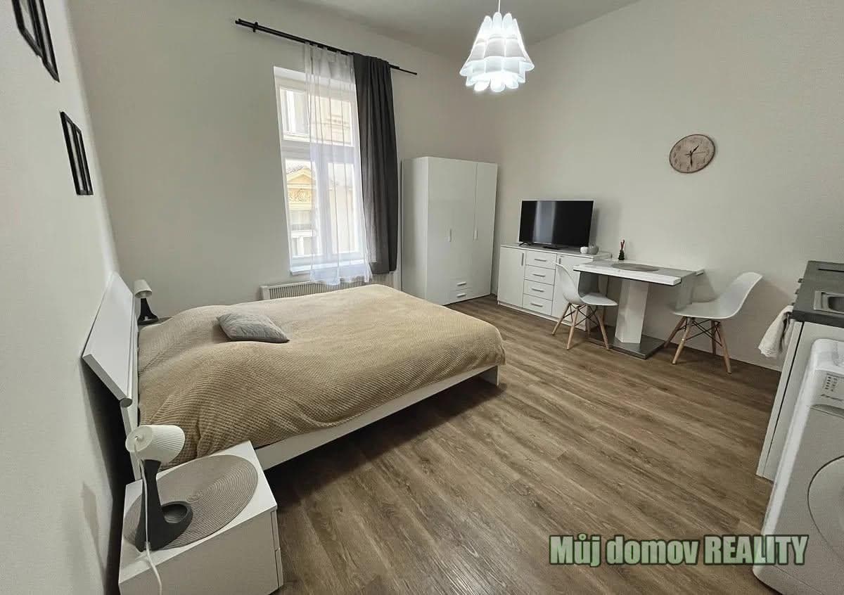 Pronájem útulného a kompletně zařízeného bytu 1+kk, 30 m² Praha 1, Nové Město, Petrská – foto 5