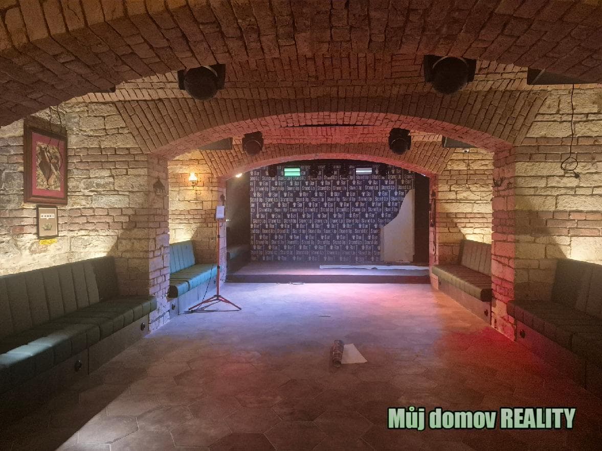 Pronájem restaurace / baru 220 m2, Ječná Praha 2, Nové Město – foto 4